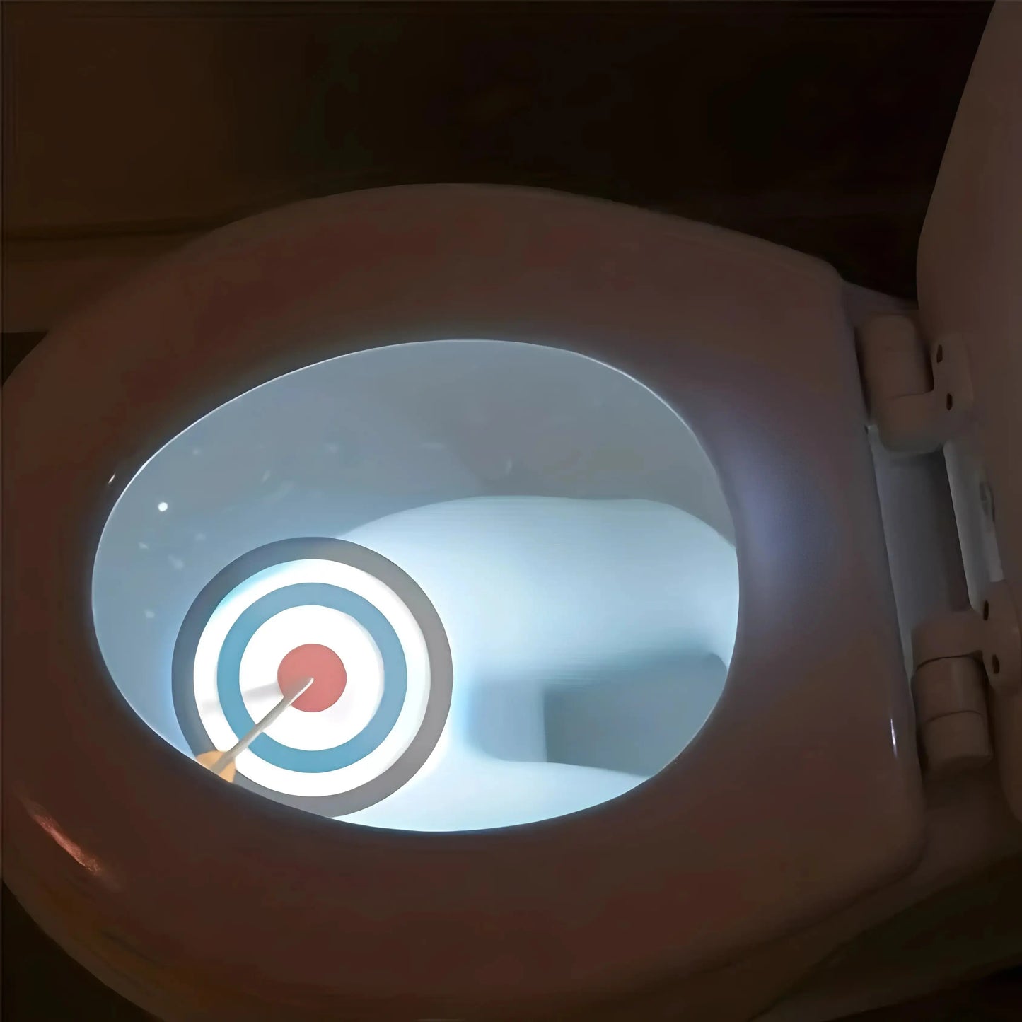 Diana WC® – Proyector de luz para apuntar en el retrete ApuntaBien